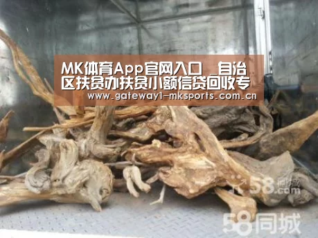  MK体育