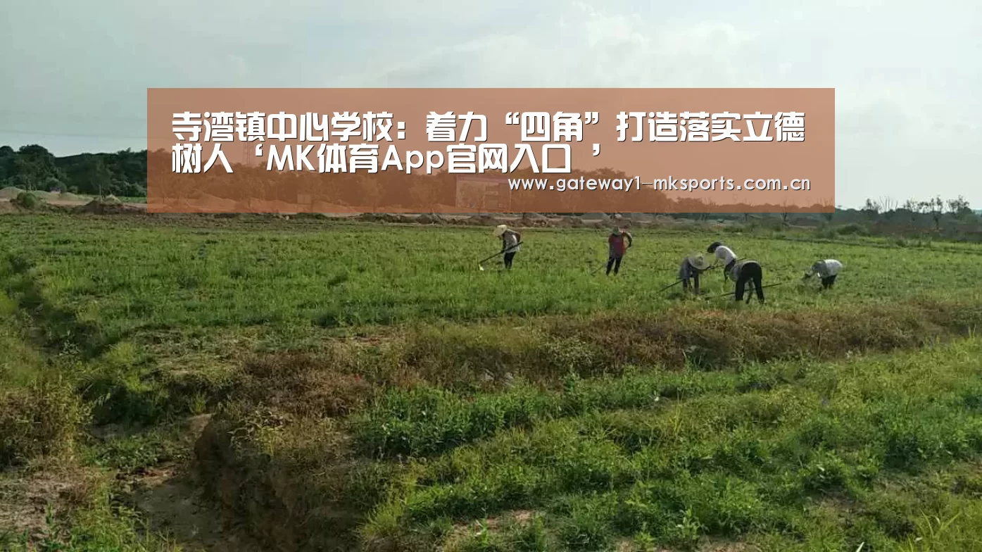 寺湾镇中心学校:着力“四角”打造落实立德树人‘MK体育App官网入口 ’(图3) MK体育App官网入口