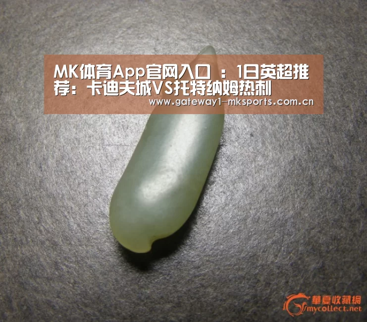 MK体育App官网入口 ：1日英超推荐：卡迪夫城VS托特纳姆热刺