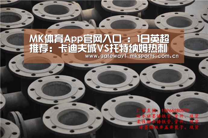 MK体育App官网入口 :1日英超推荐:卡迪夫城VS托特纳姆热刺(图2) MK体育