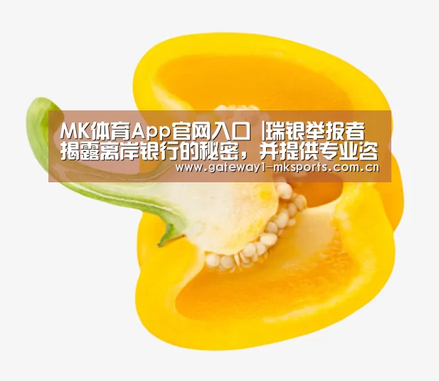 MK体育App官网入口 |瑞银举报者揭露离岸银行的秘密,并提供专业咨询(图1) MK体育