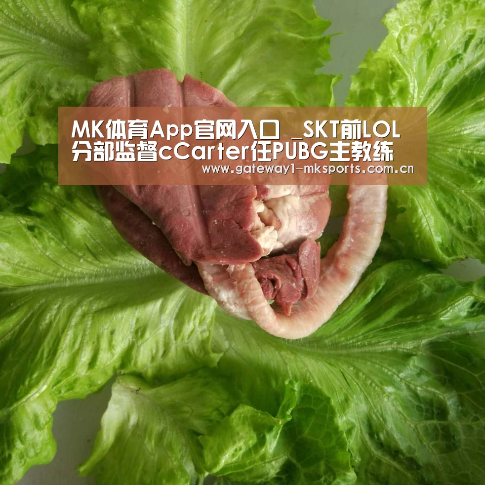  MK体育