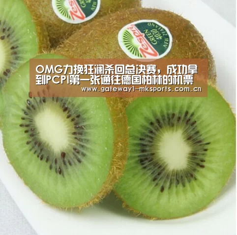 OMG力挽狂澜杀回总决赛,成功拿到PCPI第一张通往德国柏林的机票“MK体育App官网入口 ”(图1) MK体育