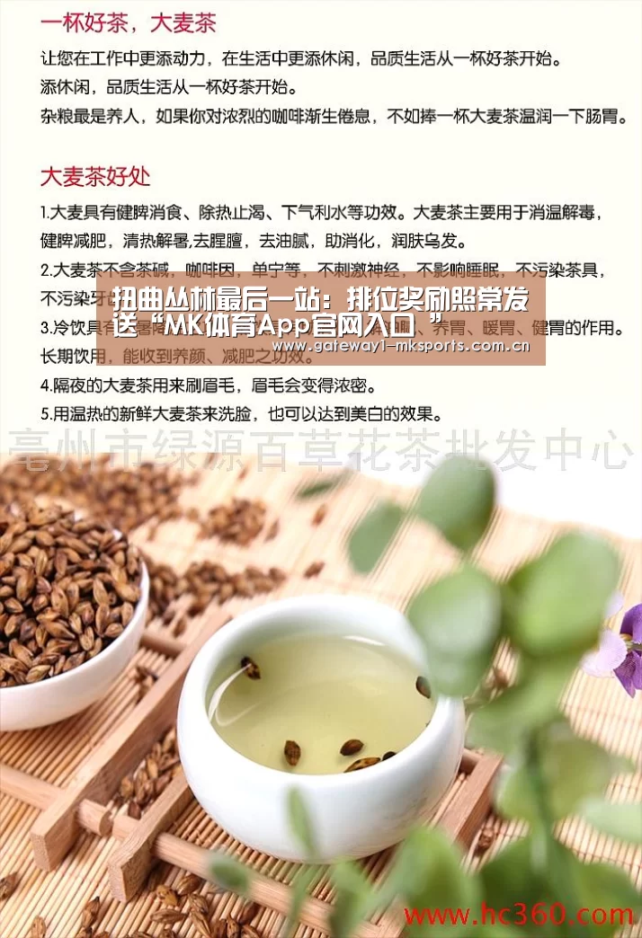 MK体育App官网入口 